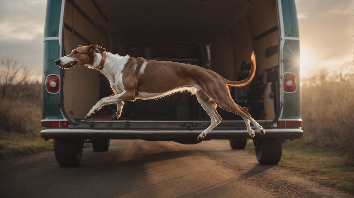 Moving With Your Muzzle Tips For Transporting Greyhounds