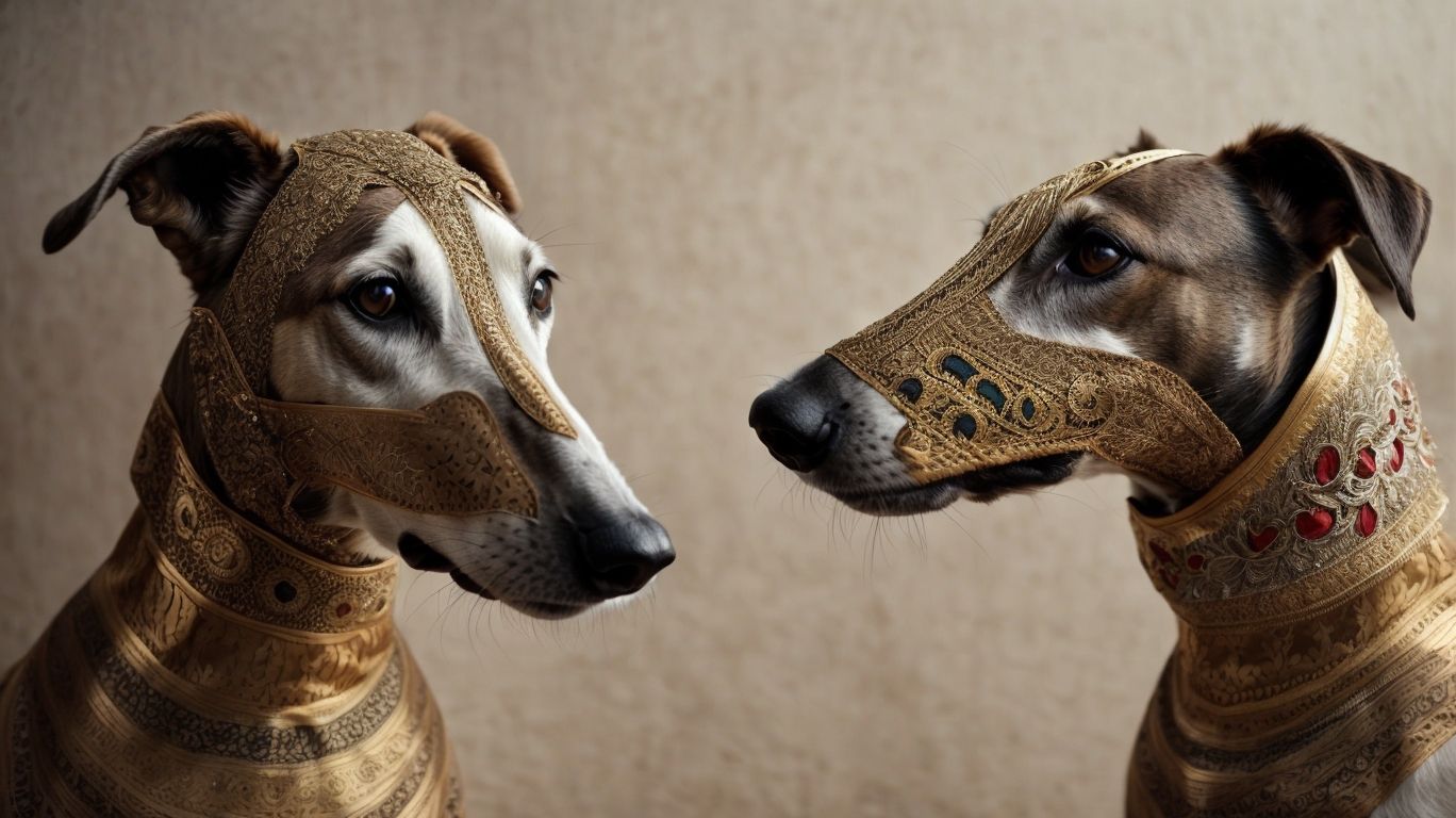 Mythical Muzzles Greyhounds In Folklore And Legends