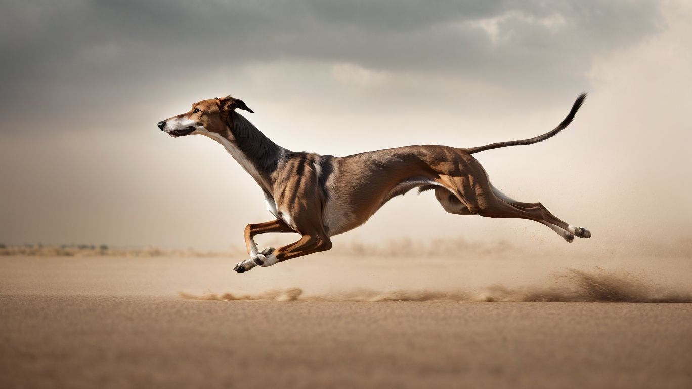 Symbolic Sighthounds Greyhounds Representing Grace And Elegance