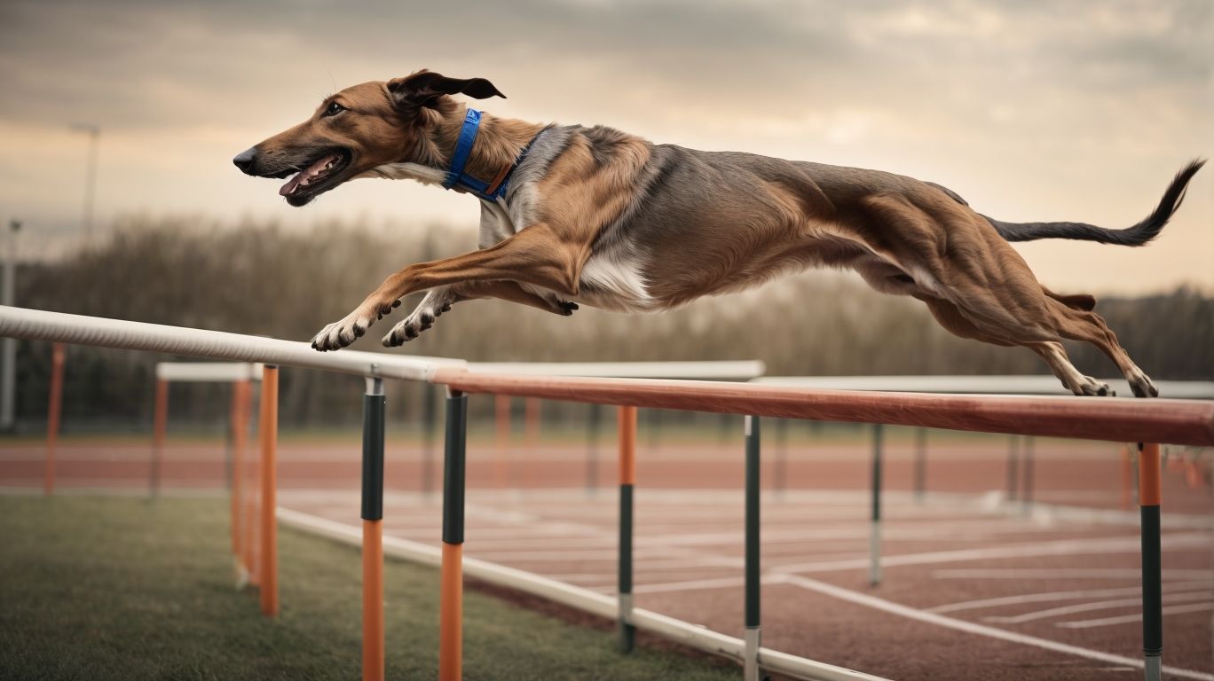 Training Hurdles Overcoming Greyhoundspecific Challenges